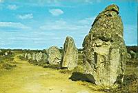 Carnac (56) - Menhirs de Kermario - Kerlescan